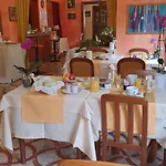 Maggiore - Gelsomino Maccagno